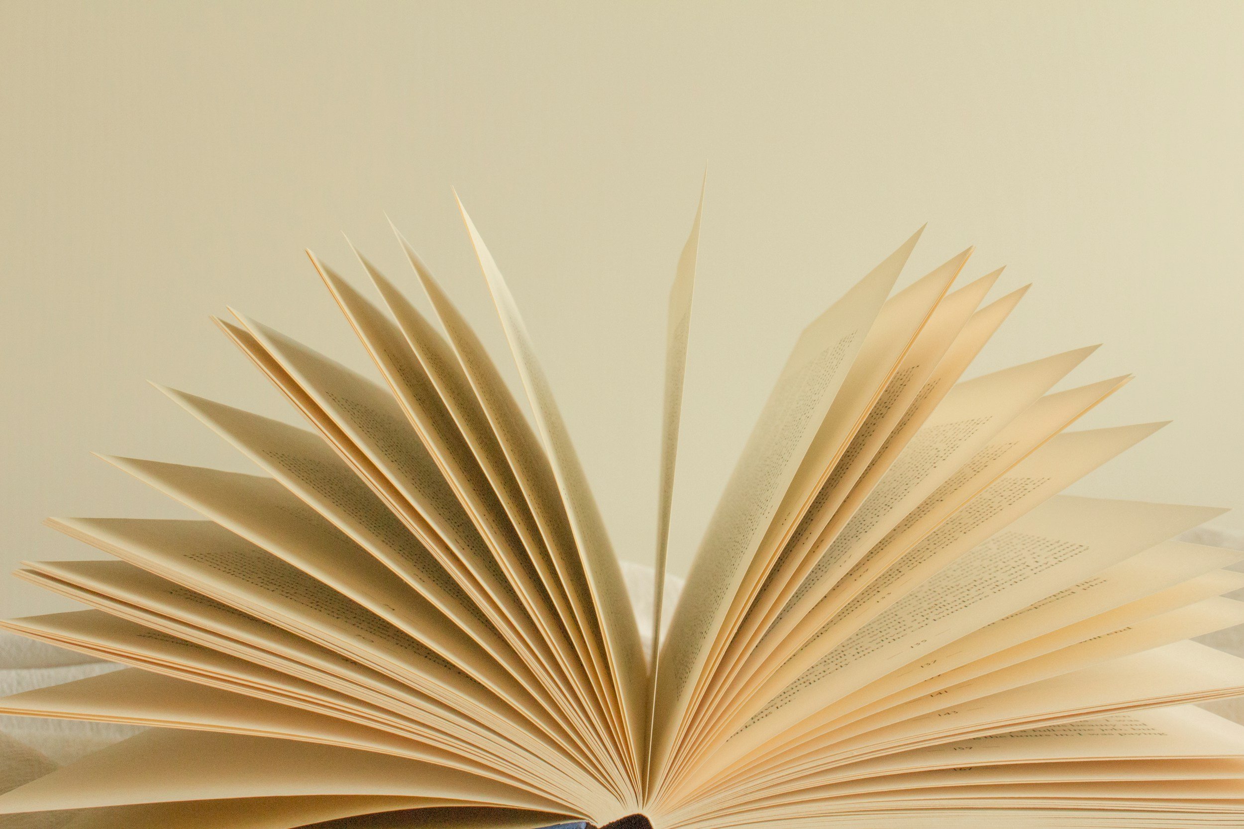 Open book with pages fanned out against a light background.
